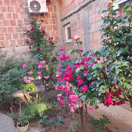 Blazuj House 2 Bedrooms *